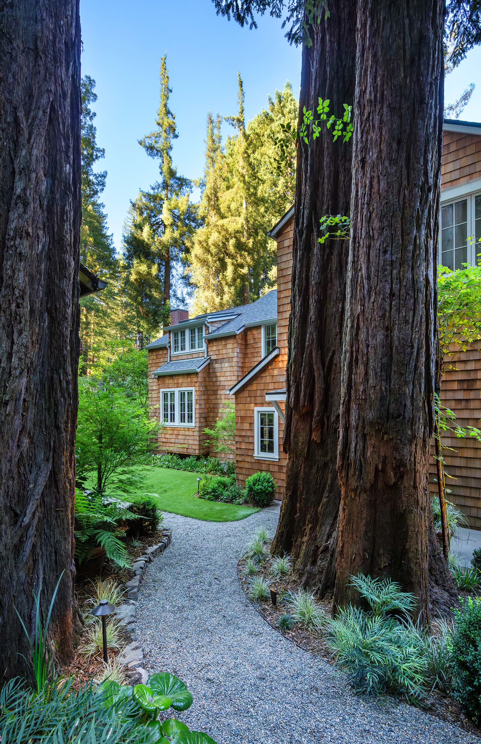 House Front and Path Through Trees, exterior