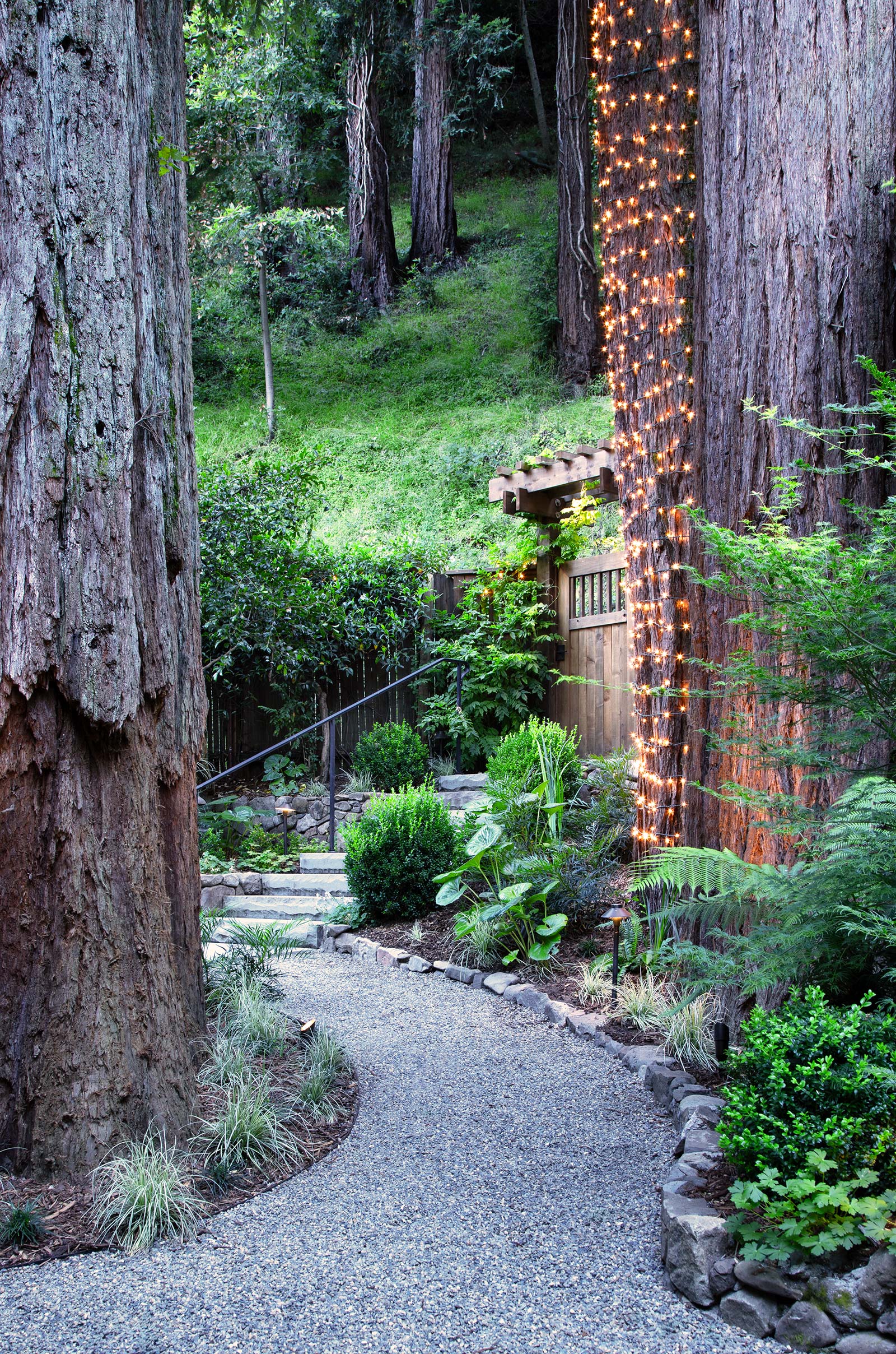 Path Through Trees, exterior