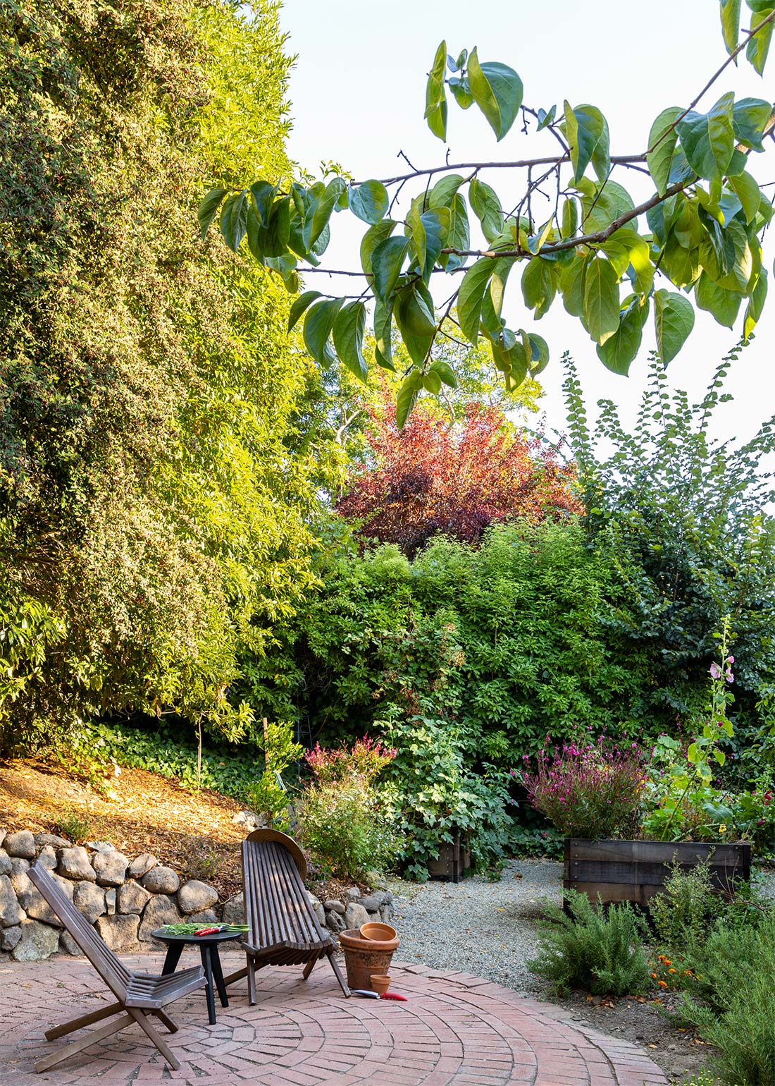 Chairs in Backyard, exterior