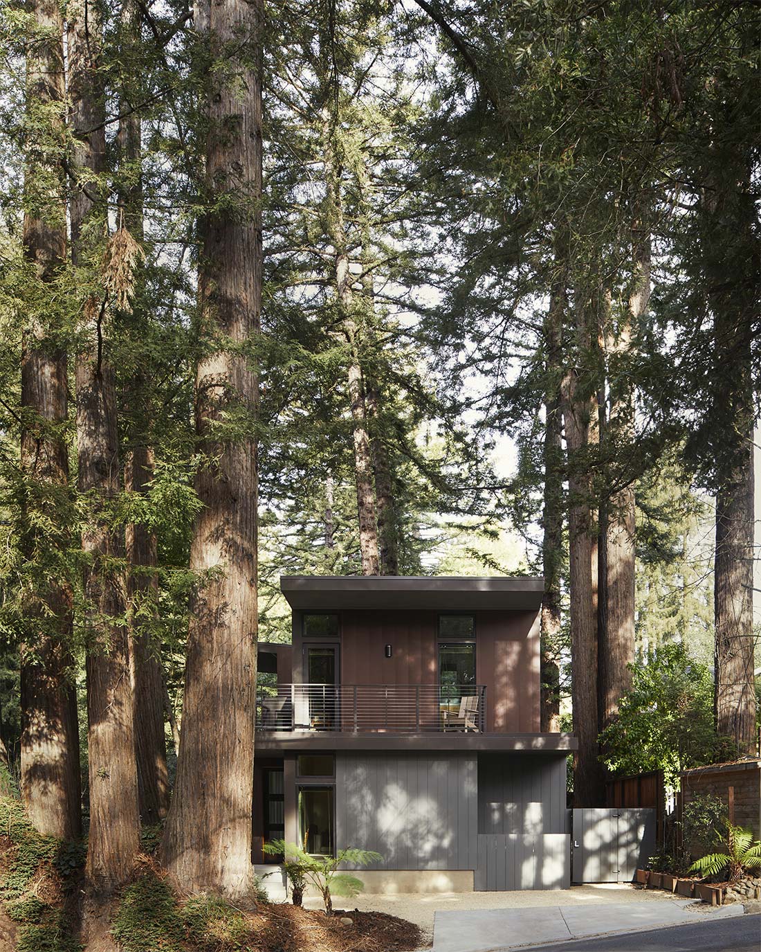 Building Among Redwoods, Exterior